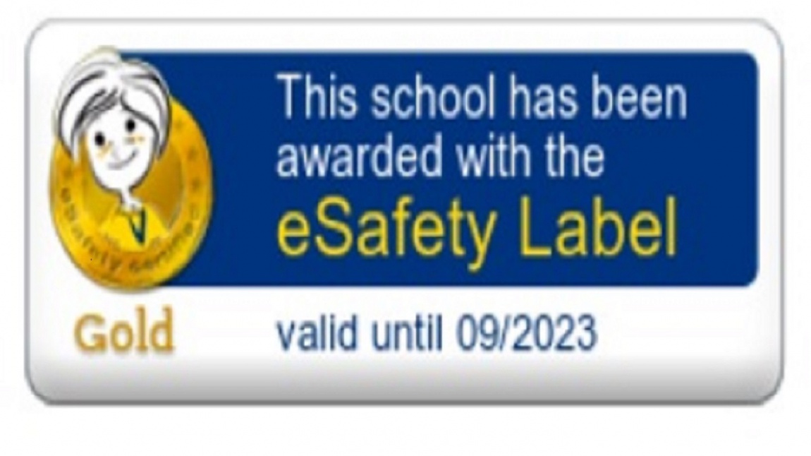 E-safety Label Altın Etiketi Aldık!